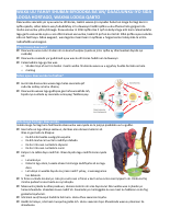 120708 What is AWD Cholera_SOM.pdf